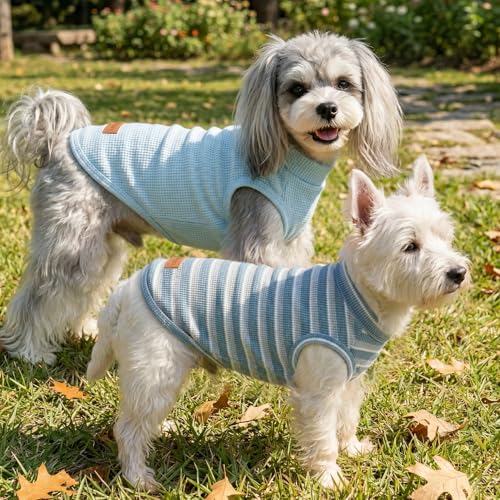 Chemises légères gaufrées pour chiens de petite taille : finis les coups de chaud en été