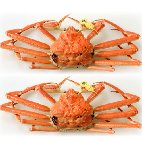 美味しさ直送! [越前かに成前]越前かに (300-400g×2, 姿)