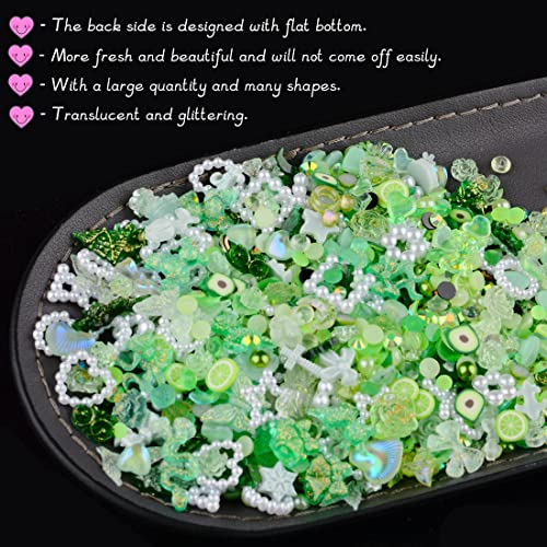 Sinyanail 12 Grid Acrylic Butterfly Bow Bear Flower Heart Crown With Abs Hollow Pearls Heart Nail Charms And Holographic Sequins For Nail Art Designs Crafting Diy Accessories(Green) #TOP1