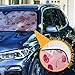 Bow Cherry Pink Windshield Sun Shade Blocks UV Rays Sun Visor Protector Sunshade Accordion Folding Sun Reflector Auto for Car Truck SUV to Keep Your Vehicle Cool