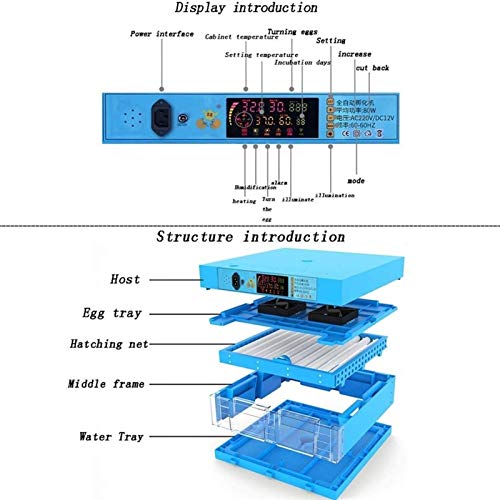 CHICTI Brutmaschine Vollautomatisch Inkubator Hühner Wachtel Eier Gänse Enten Wachteln 320 Eier Mit LED… – Bild 3
