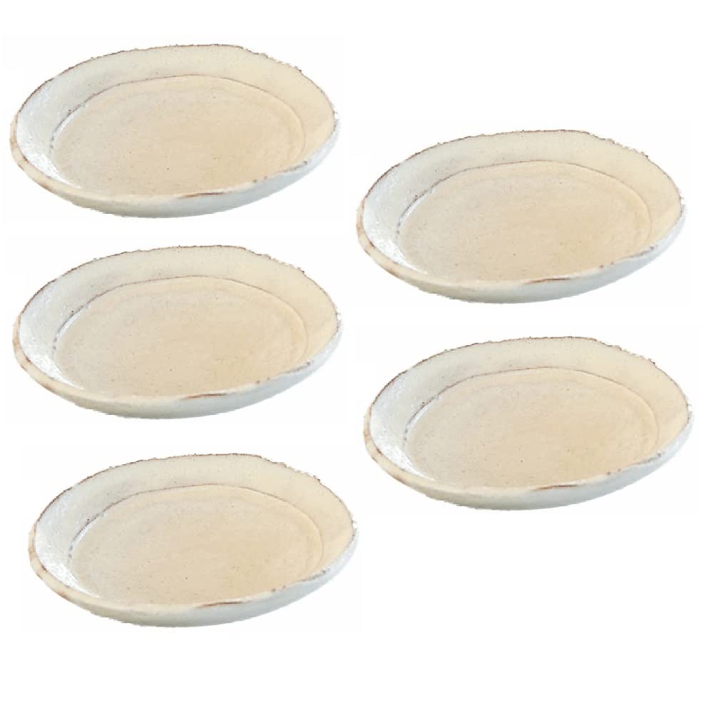 信楽焼円大皿セット(5枚) 信楽焼円大皿セット(5枚)