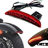 Motorrad Bremslicht Hinten Fender Tip Rücklicht Signal Licht Für Harley Sportster Nightster 883 1200 Xl (rot)