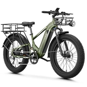 LEONX M2 pro Electric Bike,1800W Peak Motor Electric Bike LEONX M2 pro Electric Bike,1800W Peak Motor Electric Bike