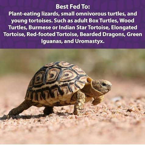 Mazuri Juvenile Tortoise Food 8 oz, Pack de 2 miniatura 3