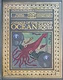 Animals of the Ocean, in Particular the Giant Squid