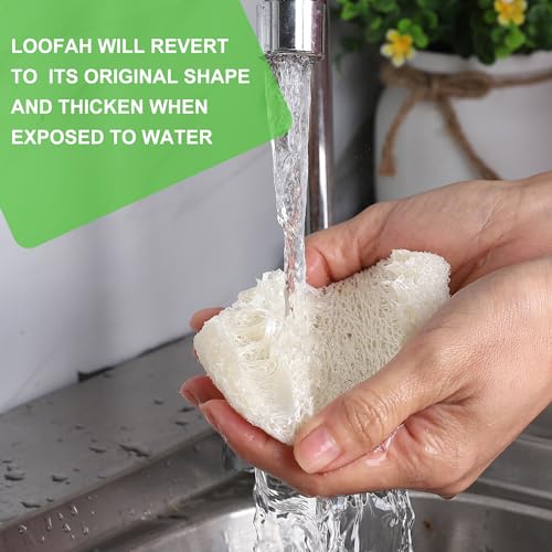 Image of Compostable Scrub Sponges 15 Pack, Long Lasting Power Scrubbing Loofah Cleaning Sponge for Dishes, Pans, Bathtub, Naturally, Non Scratch