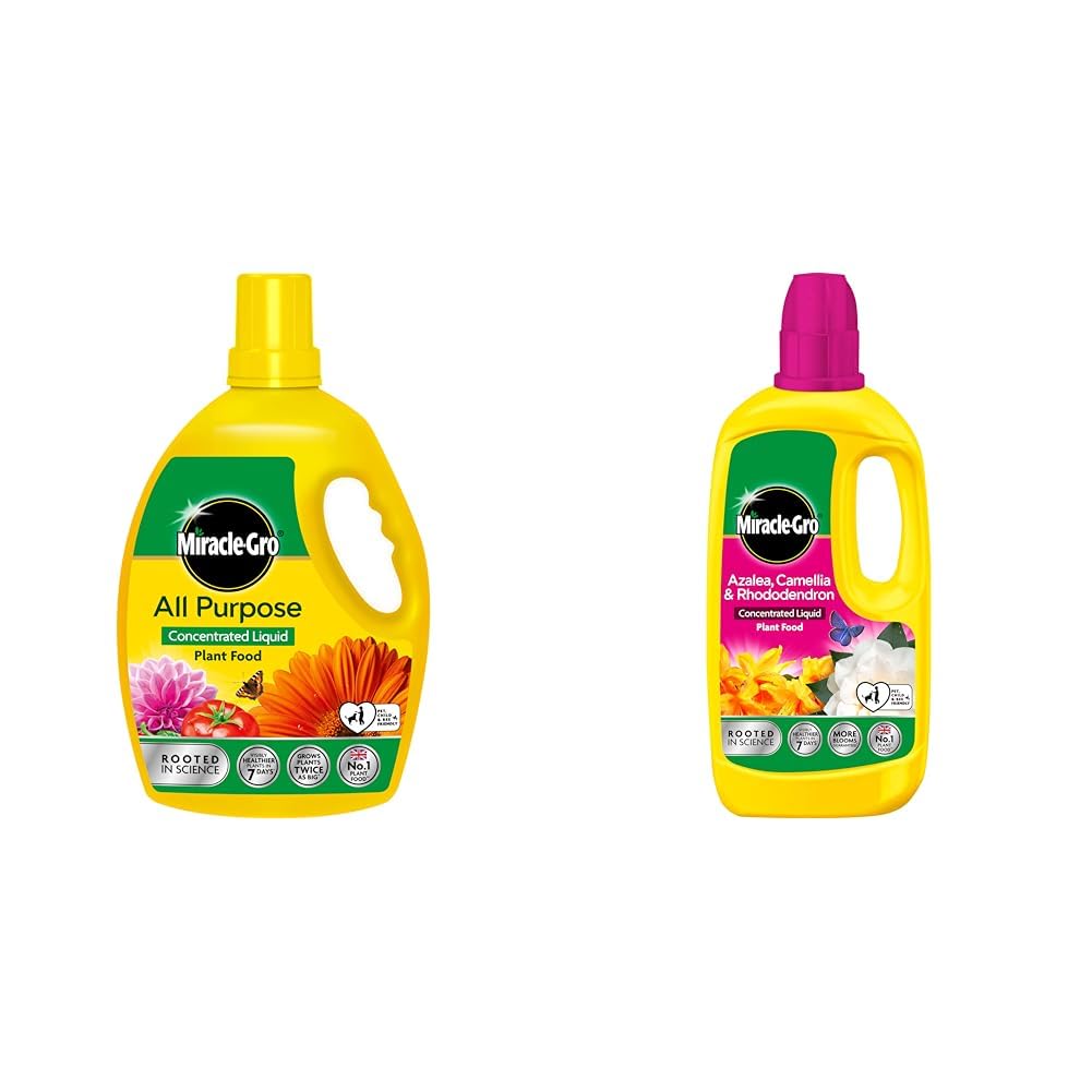 Miracle-Gro All Purpose Concentrated Liquid Plant Food, 2.5L & 121180 Azelia, Camellia & Rhododendron Concentrated Plant Food, 800 ml, Natural