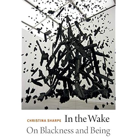 In the Wake: On Blackness and Being Cover