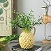 Vases Pineapple Shape Home-Garden Decoration Ceramic Decoration Fake Pineapple Home Decor Tabletop Office Desk Outdoor Decoration (Color : Yellow， Size : 9.2×14×24cm) vase