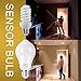 Wixann Motion Sensor Light Bulb (Motion Sensor-6000K)