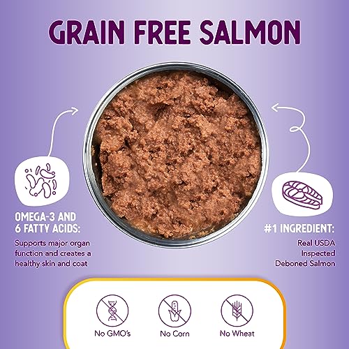 Health Extension Salmon Entrée Wet Dog Food Grain-Free, 12.5 oz – Protein-Rich Recipe, Hydration Support, Ideal for Sensitive Stomachs (Case of 12 Cans)