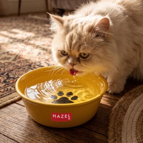 Image of HAZEL Pet Food & Water Bowl Set | Metal Feeding Bowls for Dogs & Cats | Paw Print