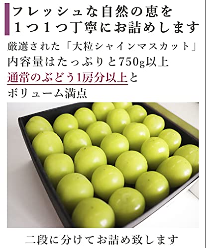 VERAISON シャインマスカット ぶどうの宝石箱 ヴェレゾン ルミエール 岡山 葡萄 ピオーネ 桃太郎 フルーツ ギフト の商品画像 5