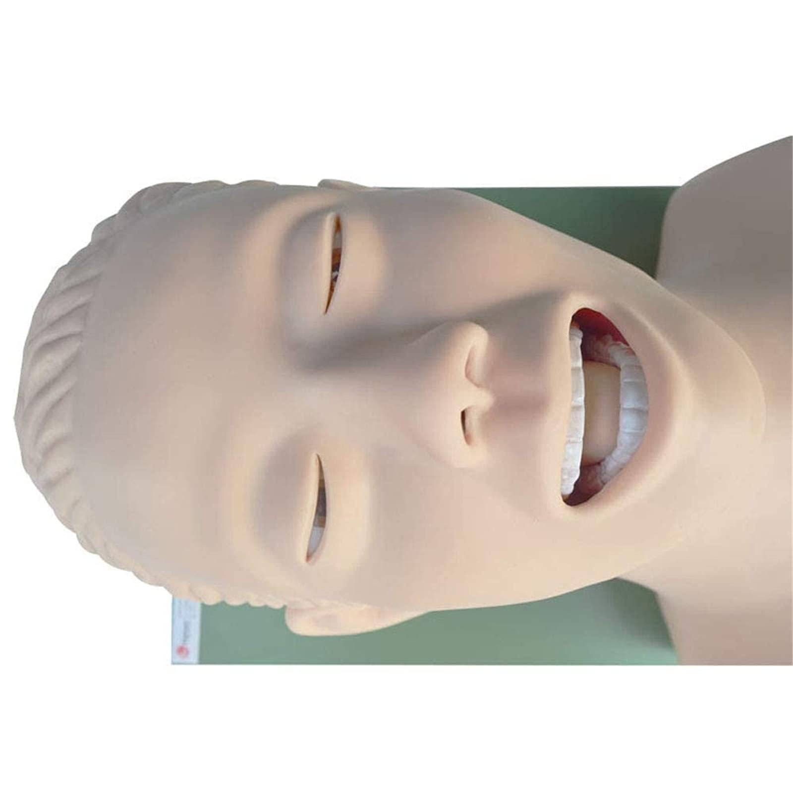 Intubazione tracheale dell'istruttore della gestione delle vie aeree, modello di insegnamento del manichino di intubazione adulto del PVC, educazione del laboratorio scientifico, 220V