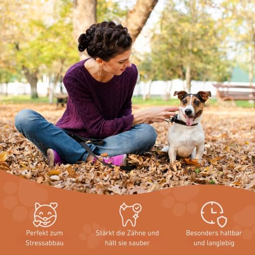 Wildfang® Kauwurzel aus Baumheide für Hunde, Größe S - Natürliches Kauspielzeug Hund, splitterfreies Hundespielzeug unzerstörbar zur Zahnpflege Hund & Welpenspielzeug (für Hunde unter 15 kg), 1 Stück
