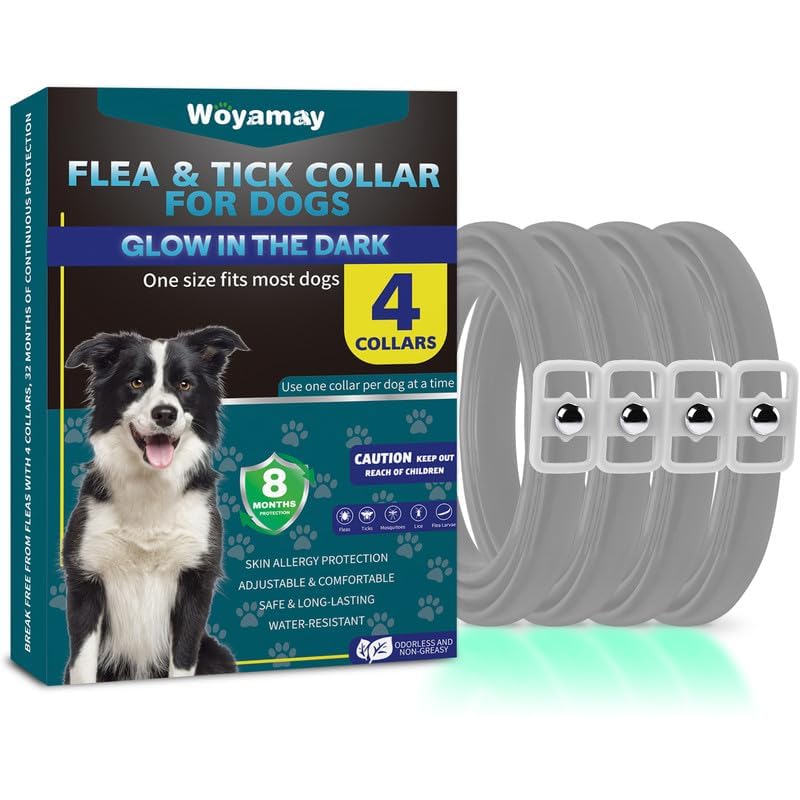Woyamay Collares Antiparasitarios para Perros, 4 Pcs Luminoso Collar Antipulgas Perros, Impermeable Collar Perro de Pulgas y Garrapatas, 8 Meses de Protección para Perros de Todos los Tamaños, Gris