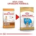 Royal Canin Labrador Retriever Junior 3 kg, 1er Pack (1 x 3 kg)