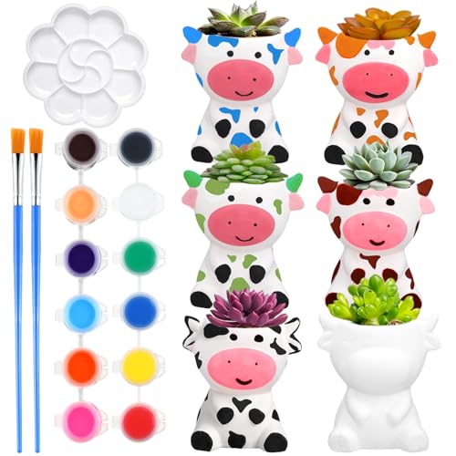Pasimy 6 Set Ceramics to Paint DIY Ceramic Succulent Planter