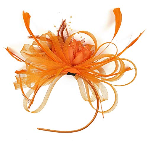 SJTJSPX Fascinator Chapeau Femme Fille Chapeau Bibi Accessoires Cheveux Maille Filet Chapeau Mariage Elegant Voile Bandeau Clip Serre-tête Mariée Chapeaux de...