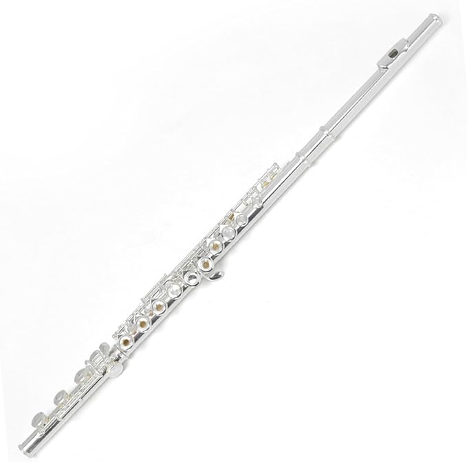 Flute kit 17hole Silverplated Flute C Key E Key Flute