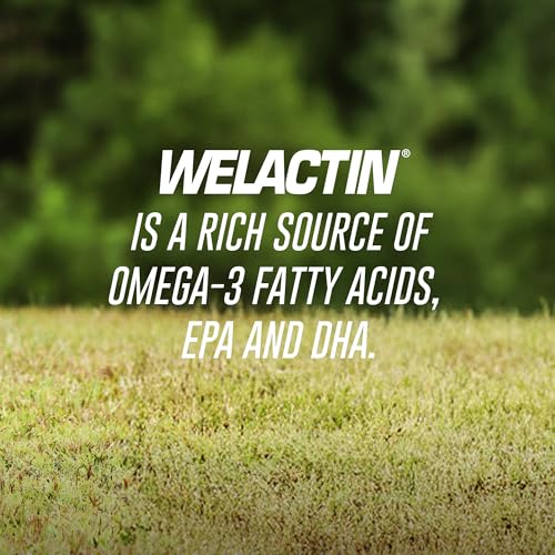 Nutramax Welactin Omega-3 Fish Oil Supplement for Dogs, Softgel Caps, 120ct - image 3