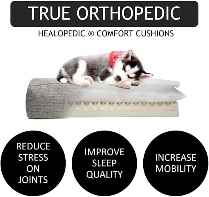 Club Nine Pets Unisex Lido Orthopedic Dog Bed - Large Grey LG One Size