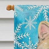 Zoom IMG-2 carolines treasures ck3103chf american shorthair Zoom IMG-2 carolines treasures ck3103chf american shorthair