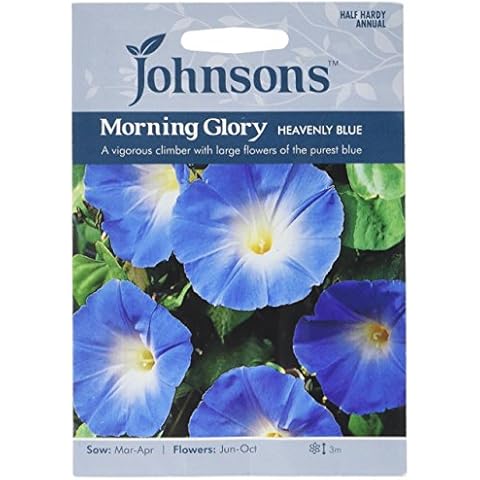 Johnsons Heavenly Blue Morning Glory Seeds Cover