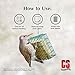 C&S Woodpecker Suet Treat, 11 Ounce, 8 Pack
