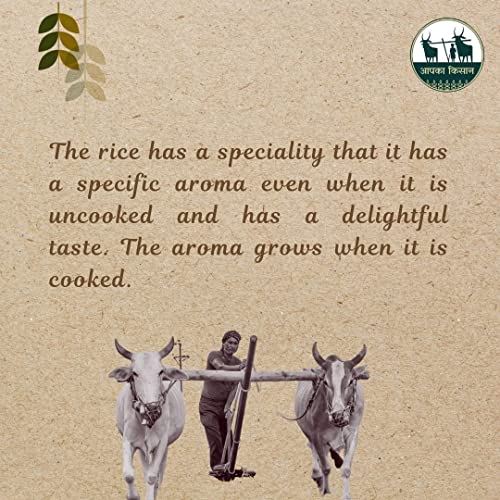Image of APKA KISAN | GI Tagged Chinnor Rice | 400 gm | Unpolished | Natural Aroma | Chemical & Pesticide Free | Organic | Farmers of Balaghat, Madhya Pradesh