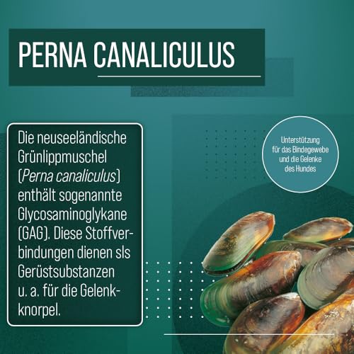 tierlieb Grünlippmuschel Hunde-Kapseln | 150 Kapseln
