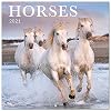 Grupo Erik Paarden 2021 Wandkalender 11,8 x 11,8 inch (16 maanden) Familie Planner Kalender 2021 CP21015