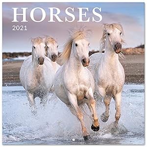 Grupo Erik Paarden 2021 Wandkalender 11,8 x 11,8 inch (16 maanden) Familie Planner Kalender 2021 CP21015