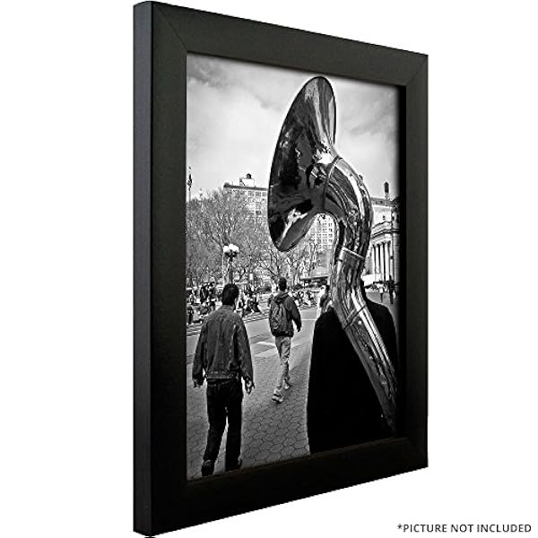 Craig Frames 1WB3BK 20 bij 30-inch fotolijst, gladde wrap afwerking, 1-inch breed, zwart