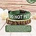 Handmade DO NOT PET Dog Collar - Choice of 20 Custom Embroidered Safety Phrases, Special Needs-Warning-Dog Collar for Large-Medium-Small Dogs Made in USA (Medium (1½ x 12-19