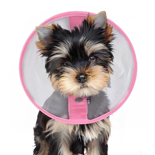 Image of Soft Elizabethan Collar for Small Dogs 2-20 lbs, Comfy Recovery Cone for Post-Surgery Spay & Neuter, Lightweight Breathable Neck Collar to Stop Licking for Teacup Puppies & Yorkies, S