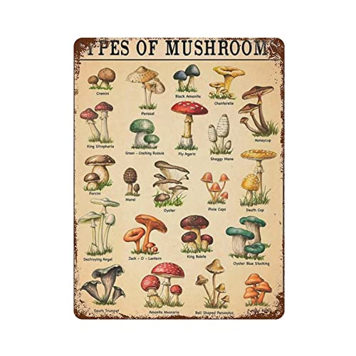 Tipos de hongos Póster Cartel de chapa de metal Pintura de hierro retro Jardín Garaje Placa de cocina para hombres Cueva Bar Cafetería Tienda Baño Calle al aire libre Hogar Arte de la pared Decoración