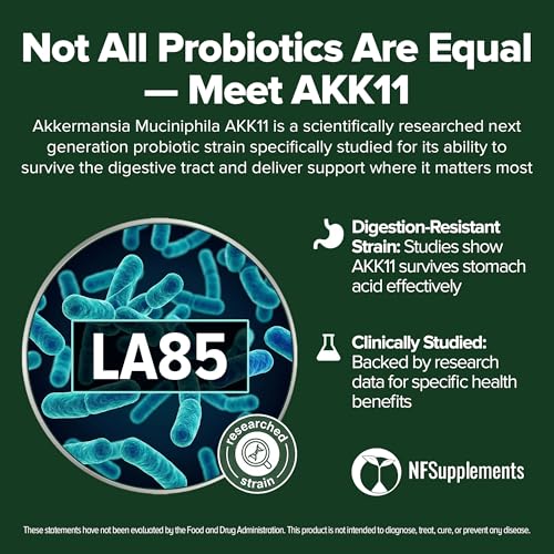 Image of Akkermansia Muciniphila Probiotic 240 Tablets (4 Month Supply) - 100 Million AFU Researched Strain AKK11 - Supports Digestive Health & Gut Lining - GMP Certified (240, Akkermansia Muciniphila)