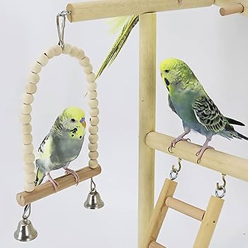 ①シンプルパーチ細め　２本　②吊り橋ウルトラロング　２個　③壁アスレチック　６個 Amazon | インコ 遊び場、止まり木、二層設計、バード