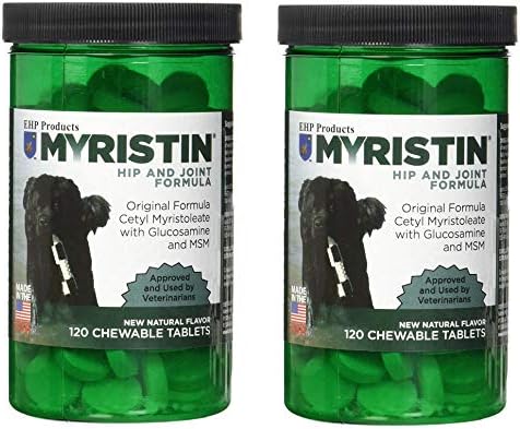 boston terrier ratting