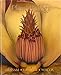 Plant Biology (2nd Edition)