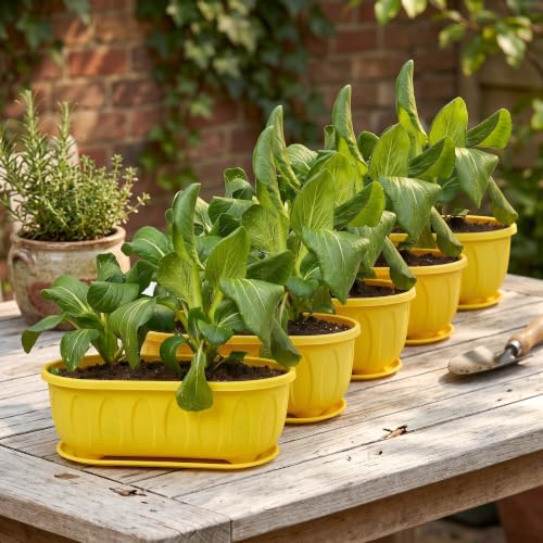 Image of Plastic Rectangle Round Corner Flower Pots with Drainage Hole Saucers Durable Outdoor Indoor Planters with Tray Plant Containers for Balcony, Garden, Home & Office (Yellow, 5)