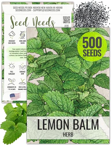 Seed Needs Lemon Balm Seeds for Planting - Non-GMO, Heirloom