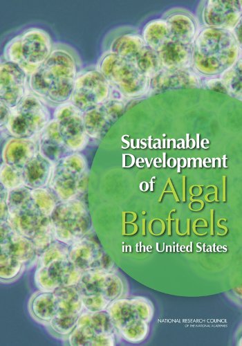 Buy Sustainable Development of Algal Biofuels in the United States — BookShops.in