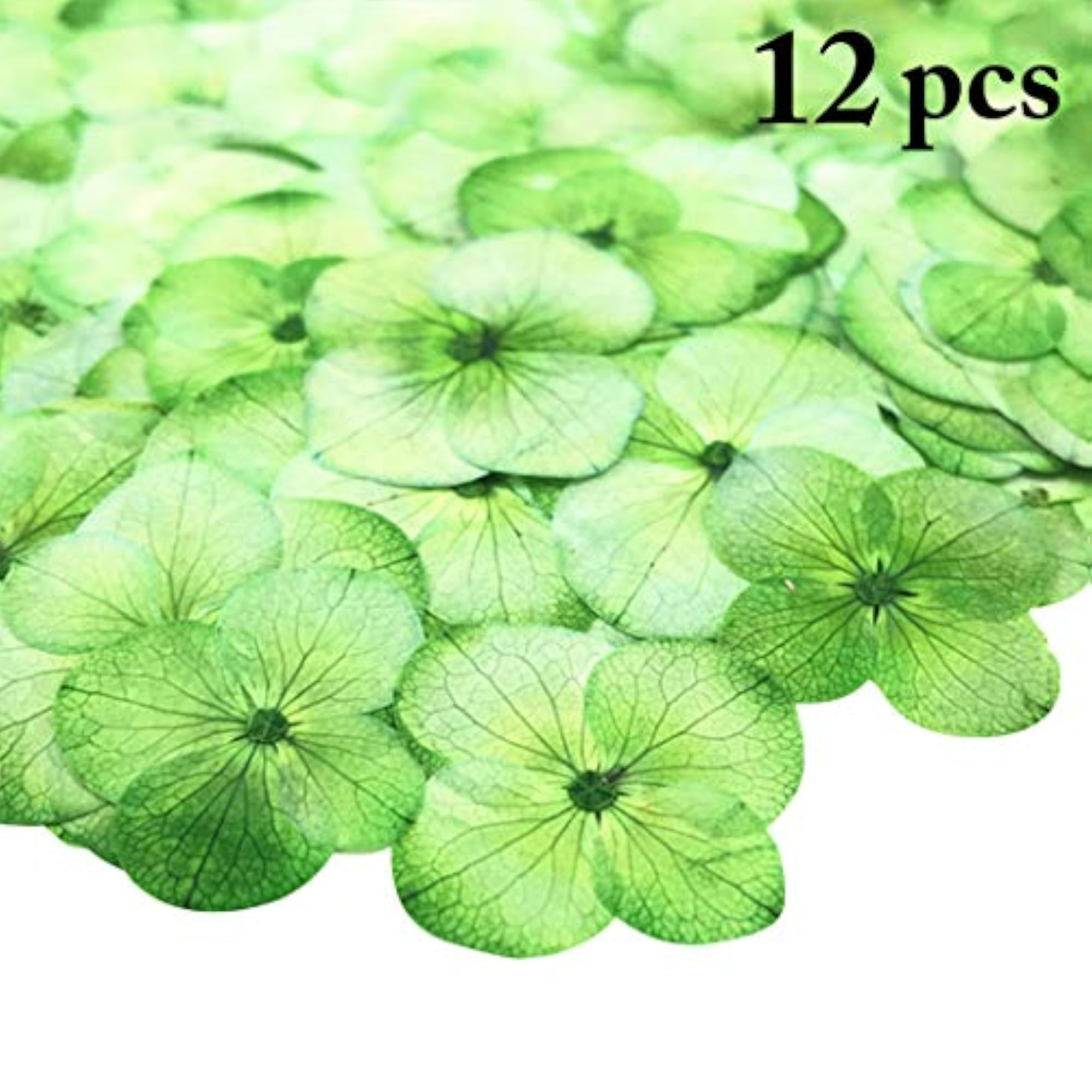 12PCS Pressed Flowers Hydrangea Dried Flowers for Makeup