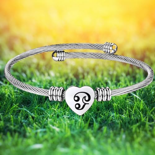 Stainless Steel Engraved Charm Heart Tamil Om Bracelets for Women Silver