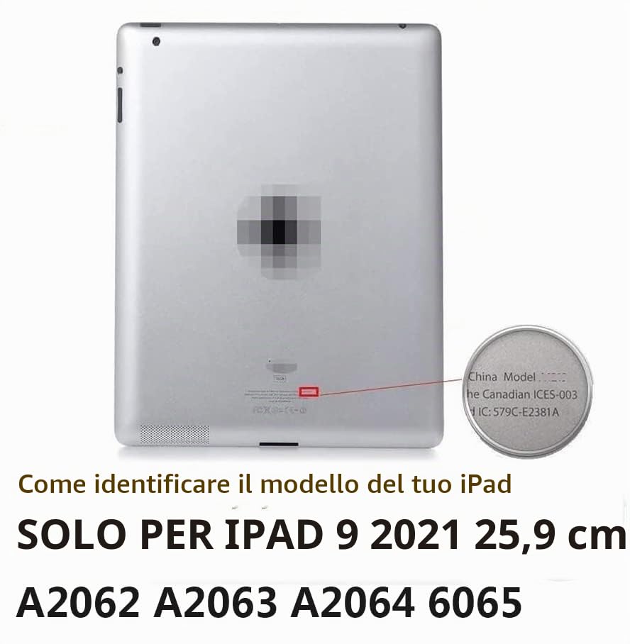 Schermo LCD Originale Per IPad 7ª 8ª 9ª Generazione 10.2 Pollici - Condizioni Scarse