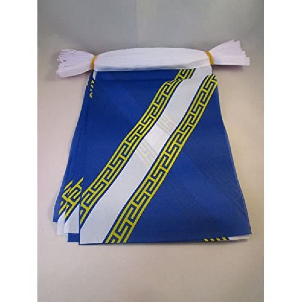 AZ FLAG Champagne-Ardenne Bunting 20 ft 20 flags Light Polyester
