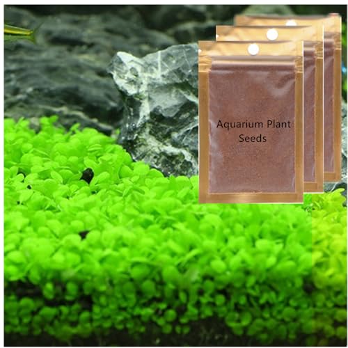 3-Pack Dwarf Leaf Aquarium Plants S.e.e.ds, Easy-Growing Freshwater Aquarium Plants for Fish Tank Decorations